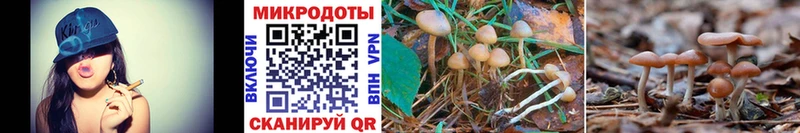 Галлюциногенные грибы MAGIC MUSHROOMS  хочу наркоту  Лесозаводск 